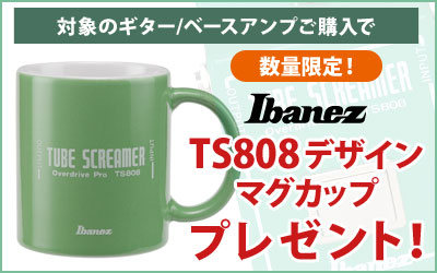 対象のギター/ベースアンプご購入で、Ibanez TS808デザインマグカップをプレゼント！
